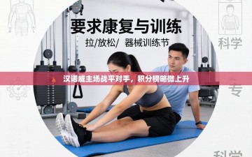 汉诺威主场战平对手，积分榜略微上升